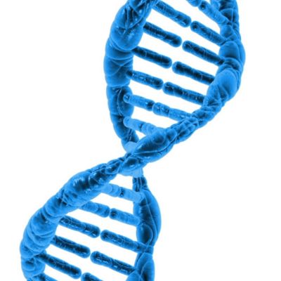 dna-nad-related-2 Detailed microscopic image of interwoven DNA molecule.