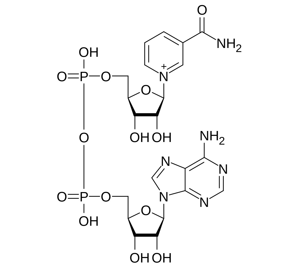 Nicotinamide Mononucleotide: The Science Behind NAD+ NAD chemical structure.