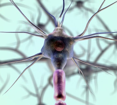 neuron-cell neuron cell